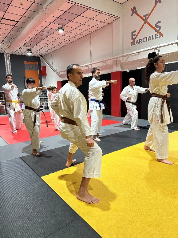 Gimnasio Karate en Madrid Las Rozas Europolis