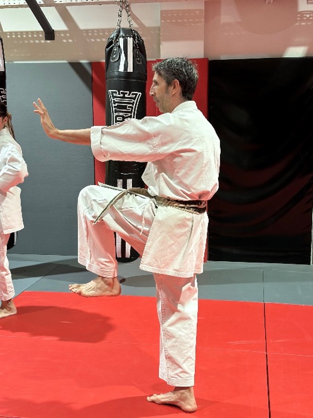 Karate Las Rozas